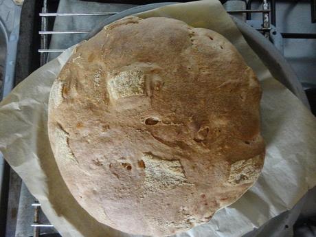 Pagnotta di grano duro casareccia (fatta con MdP)