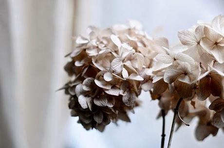 Inspiration | Texture Inspiration | Texture