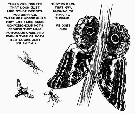 La cronaca degli insetti umani
