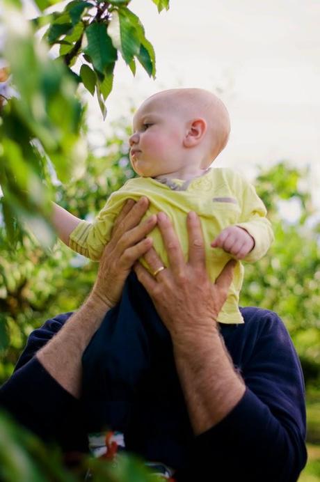 Family Sunday: Picking Flowers and Cherry