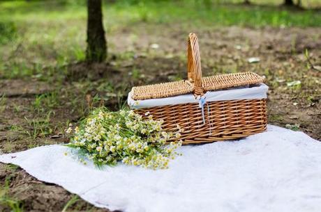 Family Sunday: Picking Flowers and Cherry