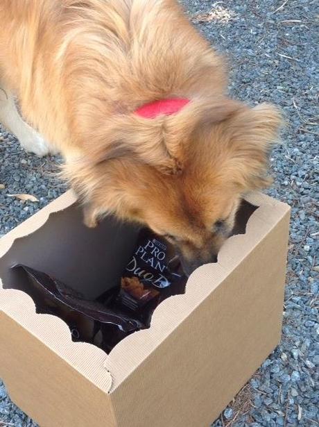 Consigliato da Delia Consigliato da Delia