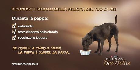 Consigliato da Delia Consigliato da Delia