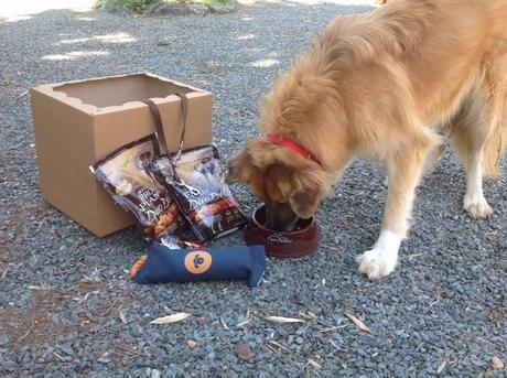 Consigliato da Delia Consigliato da Delia