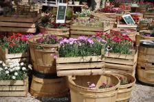Perugia Flower Show 2014, una bella passeggiata di primavera