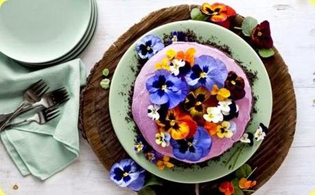 Torta di cioccolato con petali di viola Torta di cioccolato con petali di viola
