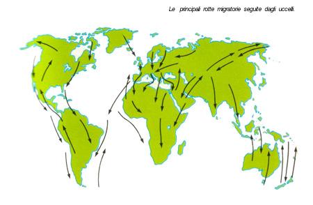 le principali rotte migratorie