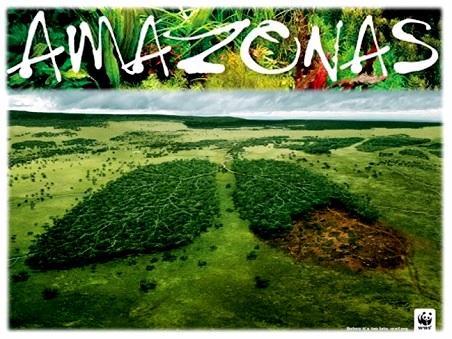 Greenpeace: Allarme Amazzonia
