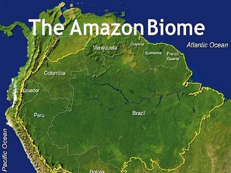 Salva l'Amazzonia, Oasi del mondo
