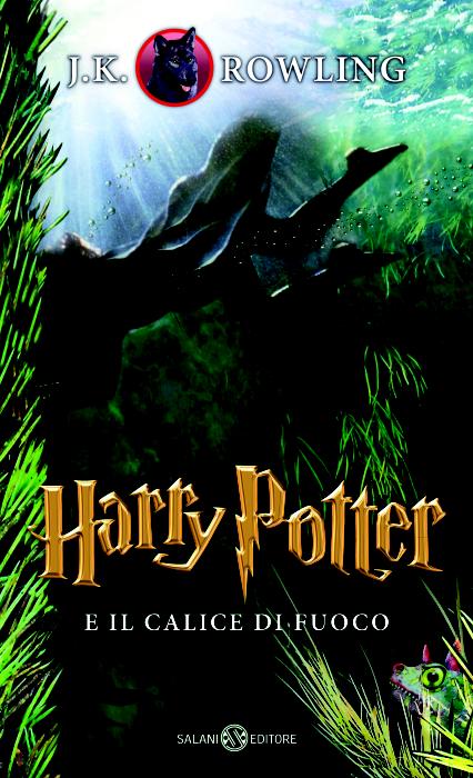 Harry Potter e il calice di fuoco