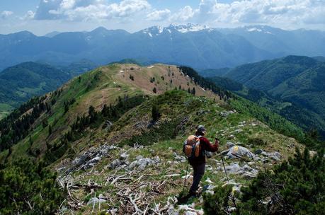 MONTE DAUDA: una bella salita da Fielis MONTE DAUDA: una bella salita da Fielis