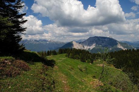 MONTE DAUDA: una bella salita da Fielis MONTE DAUDA: una bella salita da Fielis