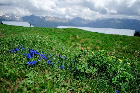MONTE DAUDA: una bella salita da Fielis MONTE DAUDA: una bella salita da Fielis