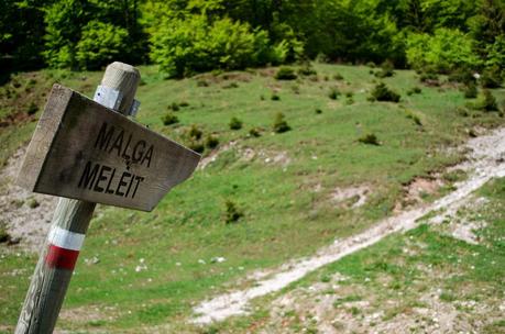 MONTE DAUDA: una bella salita da Fielis MONTE DAUDA: una bella salita da Fielis