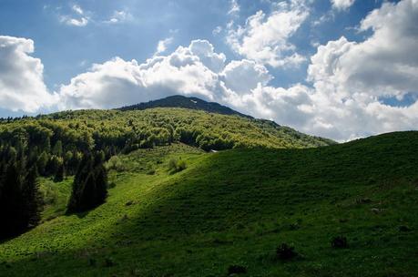 MONTE DAUDA: una bella salita da Fielis MONTE DAUDA: una bella salita da Fielis