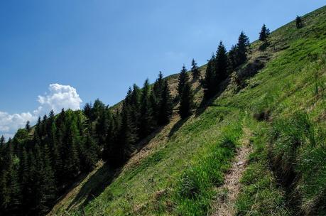 MONTE DAUDA: una bella salita da Fielis MONTE DAUDA: una bella salita da Fielis