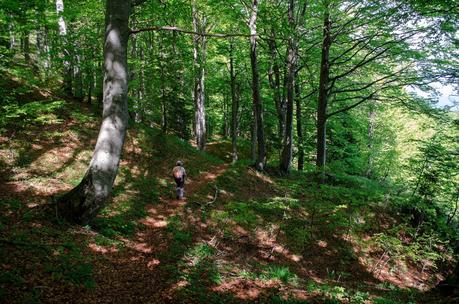 MONTE DAUDA: una bella salita da Fielis MONTE DAUDA: una bella salita da Fielis