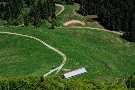 MONTE DAUDA: una bella salita da Fielis MONTE DAUDA: una bella salita da Fielis