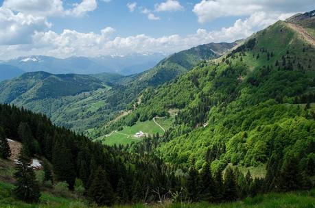 MONTE DAUDA: una bella salita da Fielis MONTE DAUDA: una bella salita da Fielis