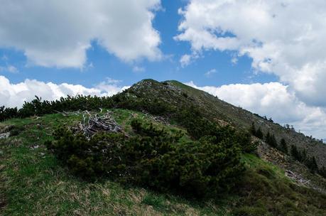 MONTE DAUDA: una bella salita da Fielis MONTE DAUDA: una bella salita da Fielis