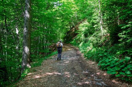 MONTE DAUDA: una bella salita da Fielis MONTE DAUDA: una bella salita da Fielis