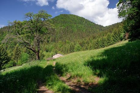 MONTE DAUDA: una bella salita da Fielis MONTE DAUDA: una bella salita da Fielis