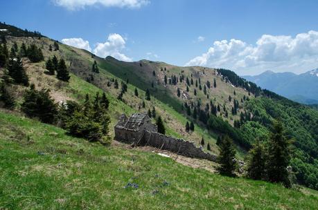MONTE DAUDA: una bella salita da Fielis MONTE DAUDA: una bella salita da Fielis