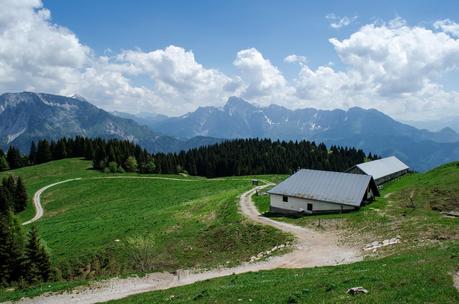 MONTE DAUDA: una bella salita da Fielis MONTE DAUDA: una bella salita da Fielis