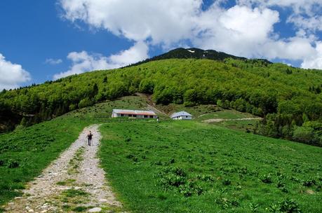 MONTE DAUDA: una bella salita da Fielis MONTE DAUDA: una bella salita da Fielis
