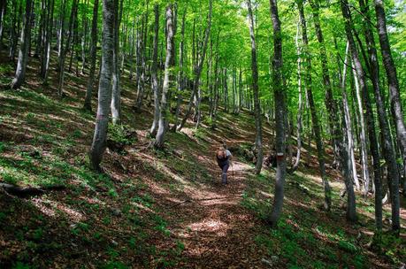 MONTE DAUDA: una bella salita da Fielis MONTE DAUDA: una bella salita da Fielis