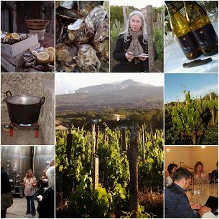 Press Tour Sicilia en Primeur 2014 a Tenuta di Fessina. La grande bellezza dell’Italia del vino