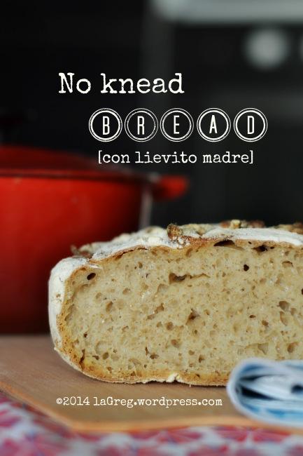 no knead bread con lievito madre