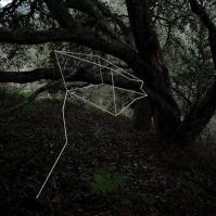 15_029 Le geometrie naturali e urbane di Moneyless