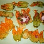 fiori di zucca (2)