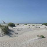 South Carolina: Outer Banks, una lingua di terra che sfida l’oceano