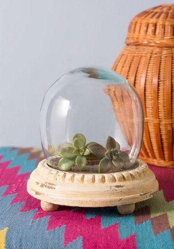 http://www.modcloth.com/shop/decorative-accessories/plant-and-simple-terrarium?new_pdp_layout=true