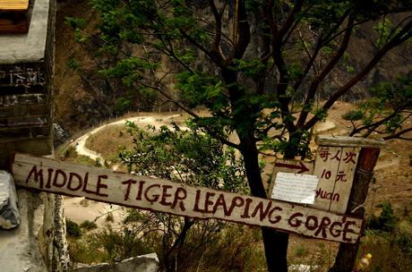 Trekking sul Tiger Leaping Gorge, Yunnan