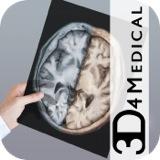 Head Radiology App icona_1