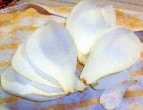 Cotolette di… Fiori di Magnolia fiori,magnolia,mangiare,olio,friggere,fritti