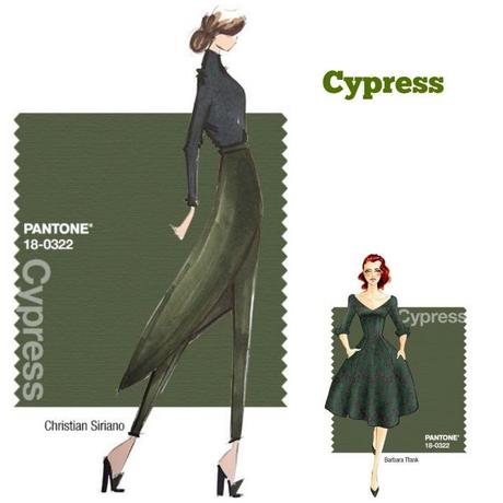 cypress Collage.jpg