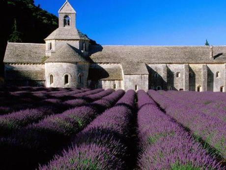 Lavender Field_ Abbey of Senanque_ Near Gordes_ Provence_ France