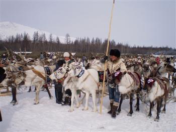 Siberia: pastori di renne contro il colosso petrolifero