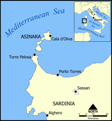 640px-Asinara_map