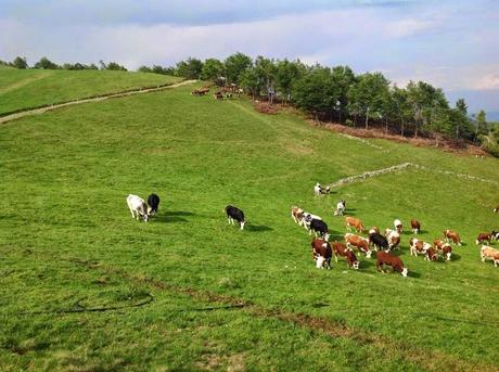 Dal Santuario di Oropa all'Oasi Zegna: in cammino alla scoperta dei paesaggi e volti del biellese