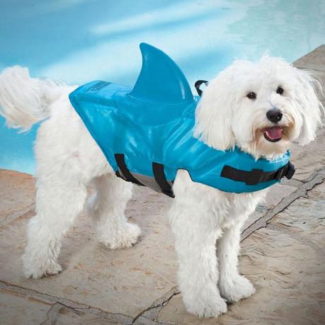 Shark Flotation Vest for Dogs 1