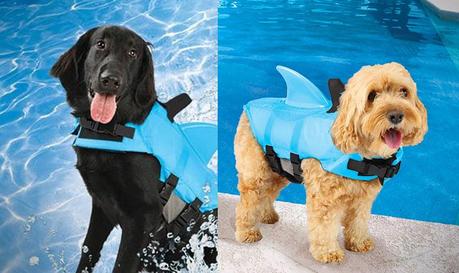 Shark Flotation Vest for Dogs 2