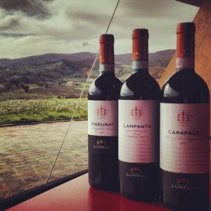 ‘LE DOMENICHE DELLA STRADA DEL SAGRANTINO’ DAL 15 GIUGNO AL 1 NOVEMBRE vino