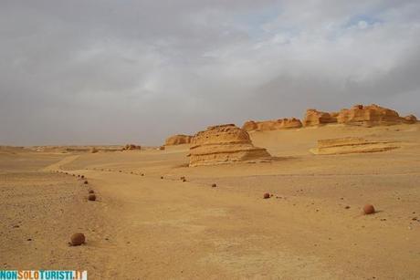 Wadi el Hitan, Egitto