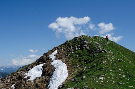 GOLICA: la montagna dei narcisi