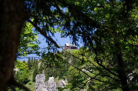 GOLICA: la montagna dei narcisi